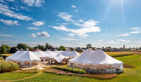 Sailcloth silhouette tent huren I organic tent I Stretched.be